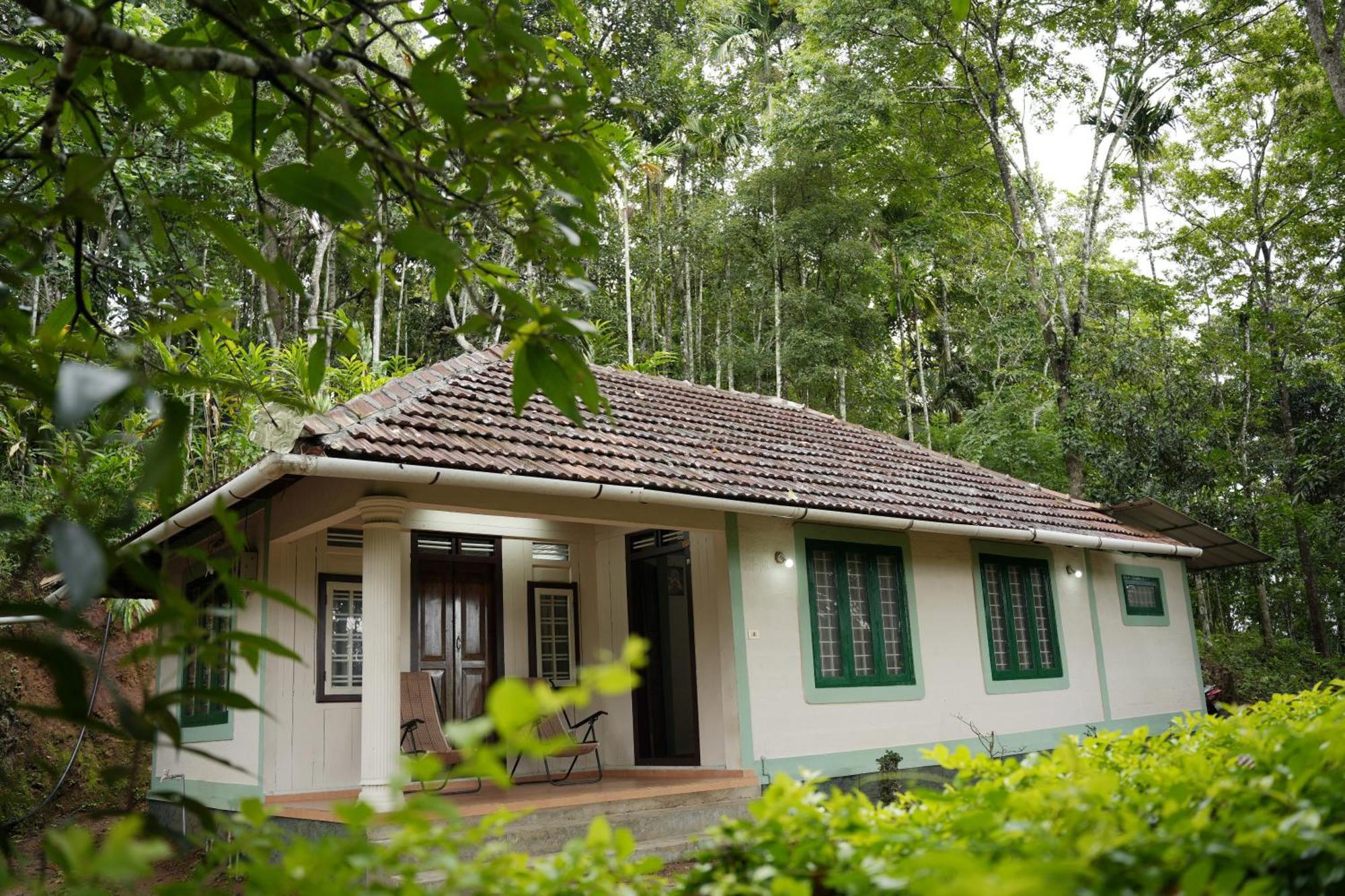 Coffee Camp Home Stay With Tree House Kattappana Екстер'єр фото