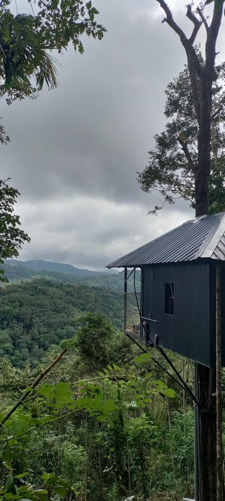 Coffee Camp Home Stay With Tree House Kattappana Екстер'єр фото