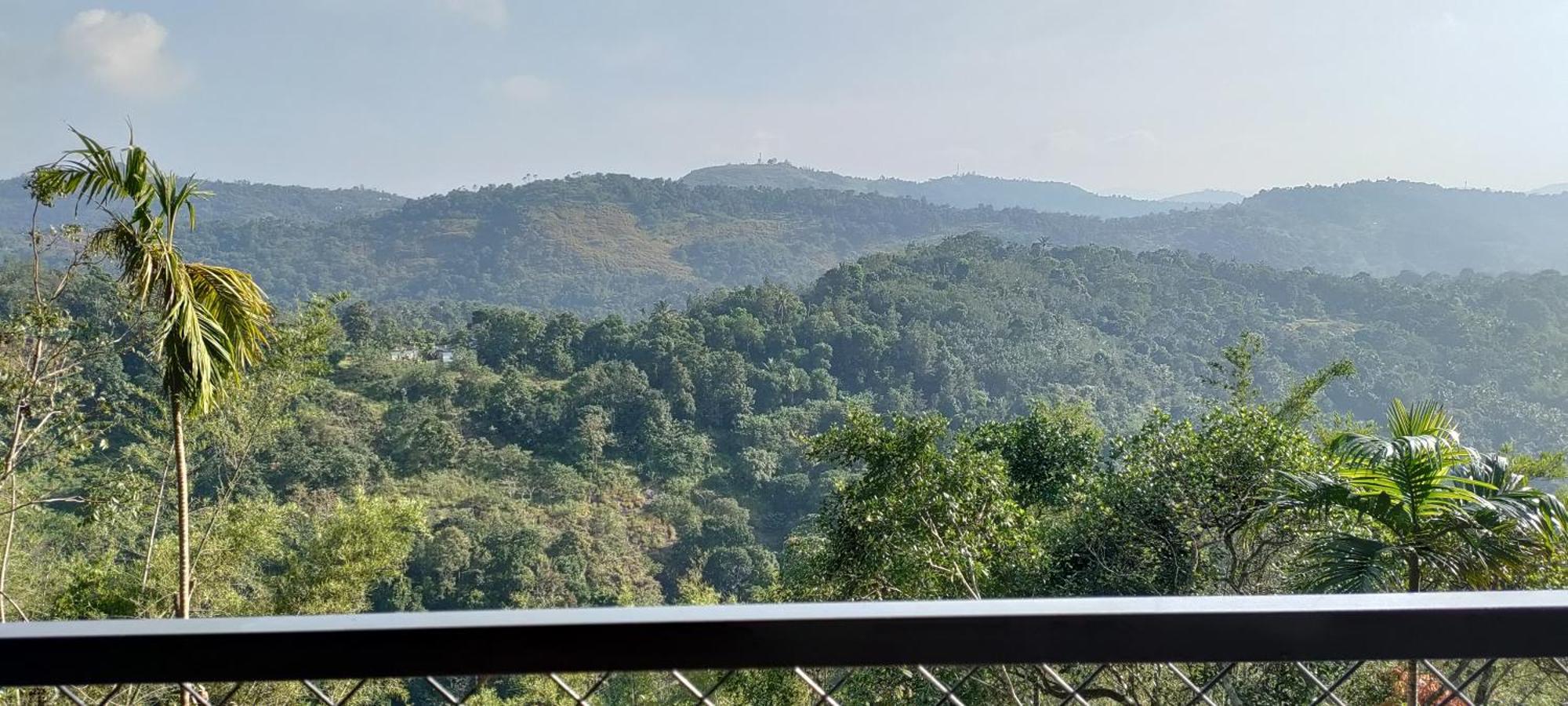 Coffee Camp Home Stay With Tree House Kattappana Екстер'єр фото